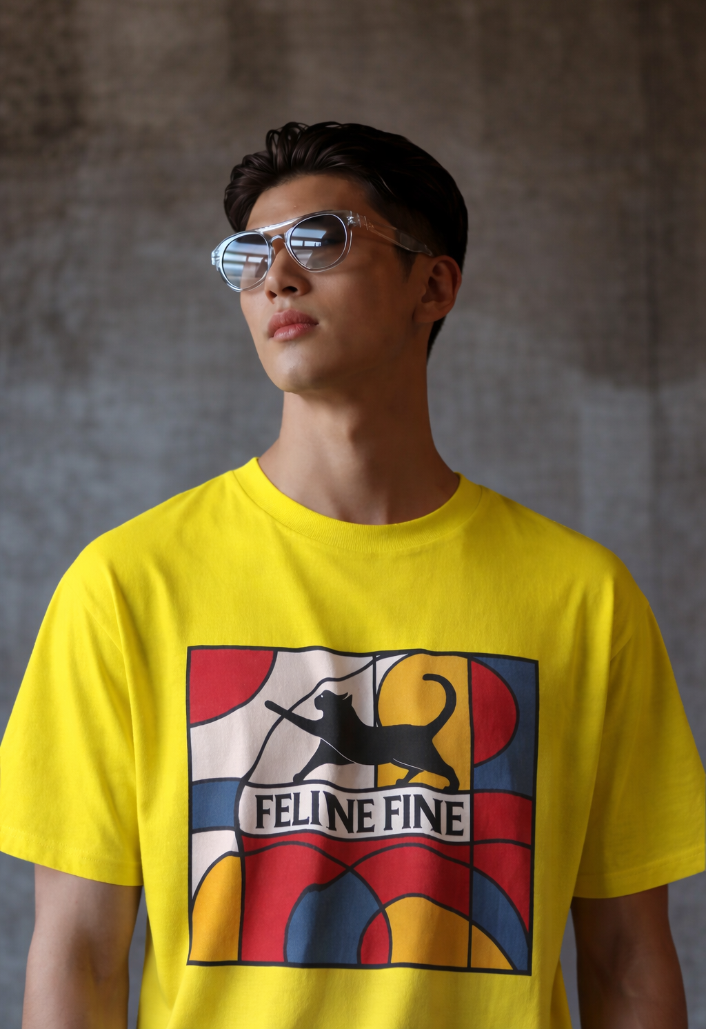 MENS REGULAR PRINTED T-SHIRT: Feline Fine